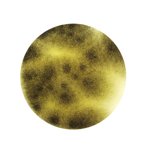 Aspergillus brasiliensis