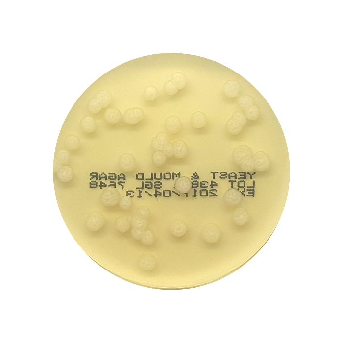 Yeast and Mould Agar, 55mm Plate
