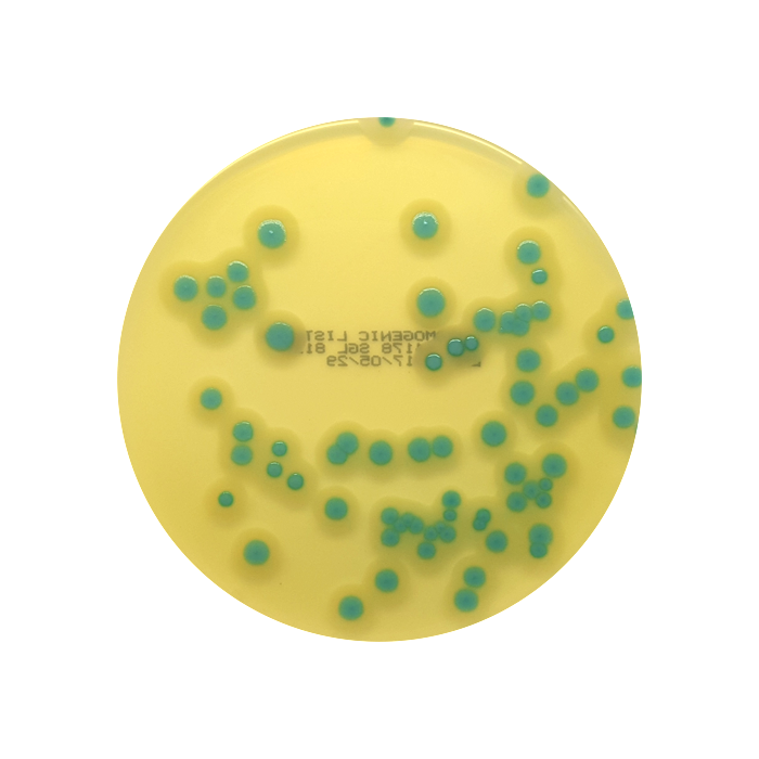Chromogenic Listeria Selective Agar, 90mm Plate