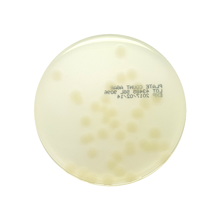 Plate Count Agar, 90mm Plate