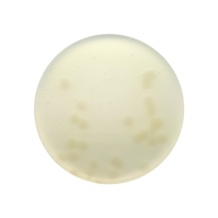 Yeast Extract Agar, 90mm Plate