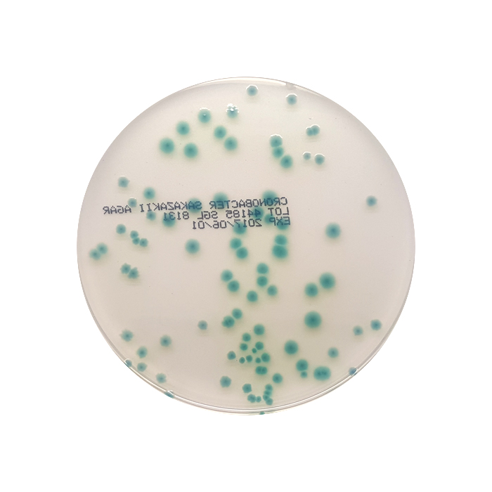 Chromogenic Cronobacter Isolation Agar, 90mm Plate
