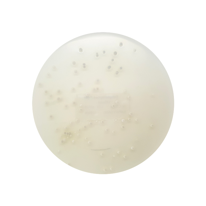 Streptomyces Agar, 140mm Plate