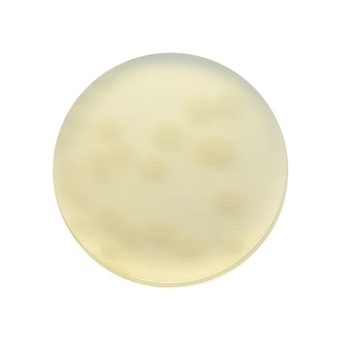 Yeast Extract Agar, 55mm Plate